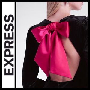 NWOT Express Black Velvet Dress with Red Bow